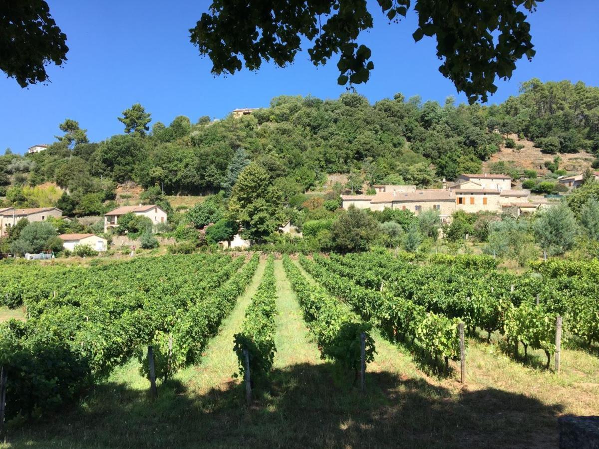 Campsite Village De